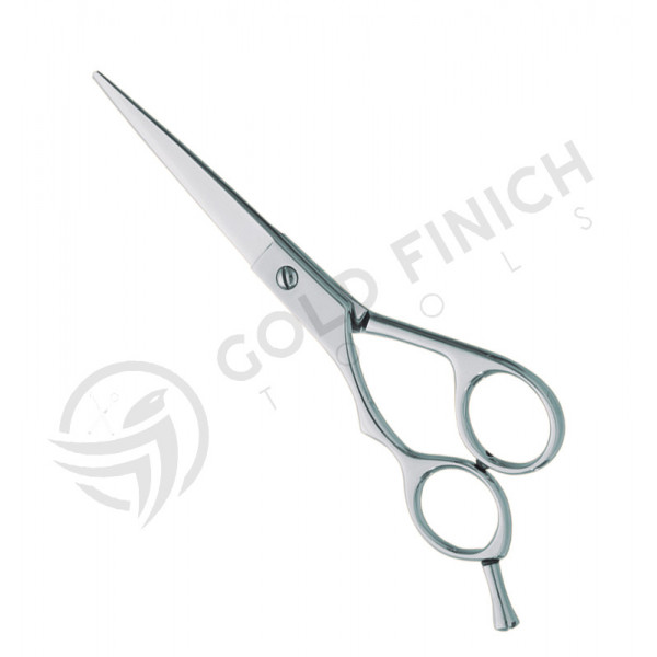 Professional hair Cutting Scissors