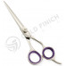 Razor Edge Hair Dressing Scissors