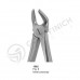 Extracting Forceps