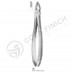 Extracting Forceps