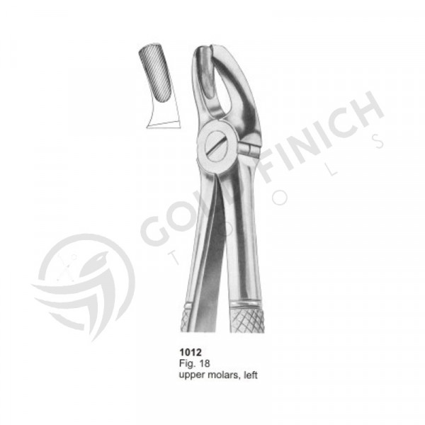 Extracting Forceps
