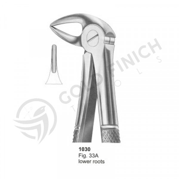 Extracting Forceps