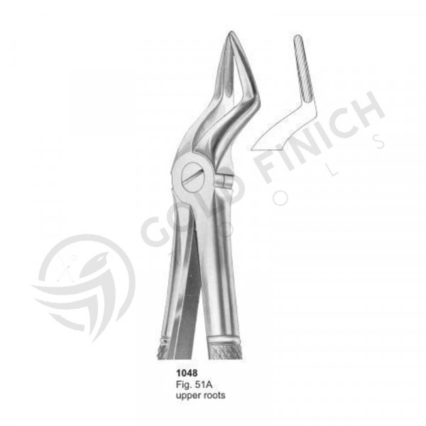 Extracting Forceps