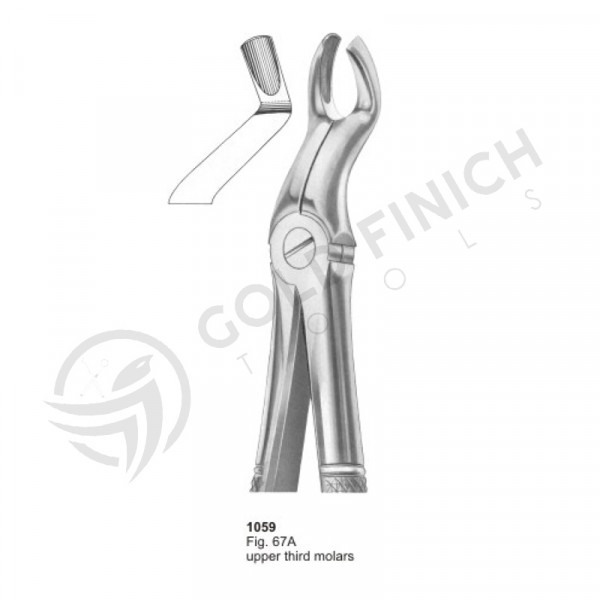 Extracting Forceps