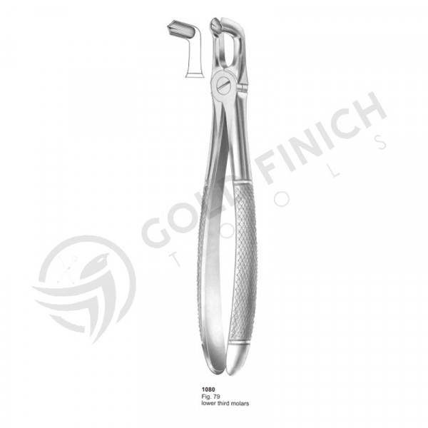 Extracting Forceps