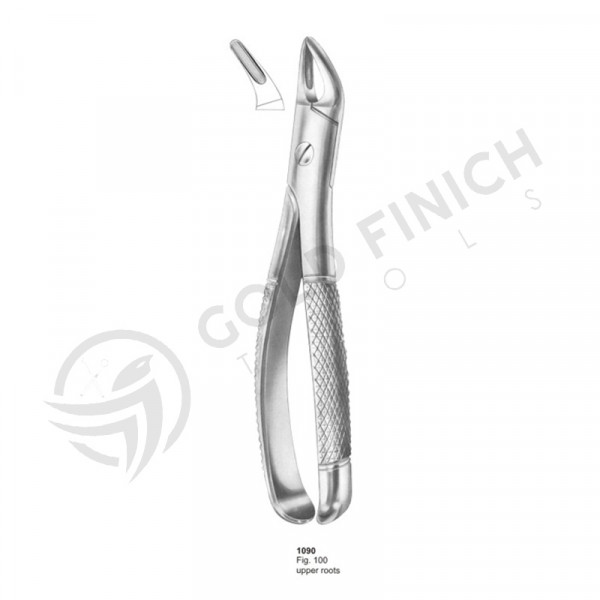 Extracting Forceps