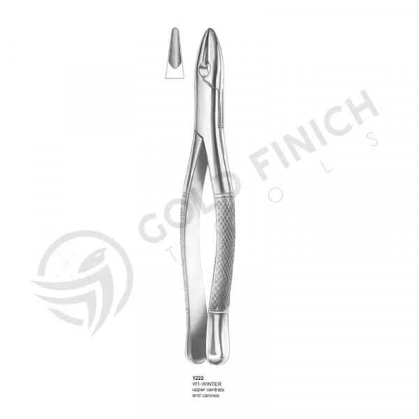Extracting Forceps