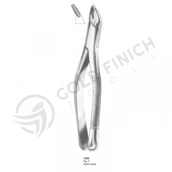 Extracting Forceps