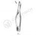 Extracting Forceps
