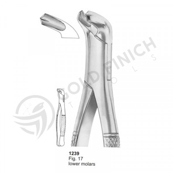 Extracting Forceps