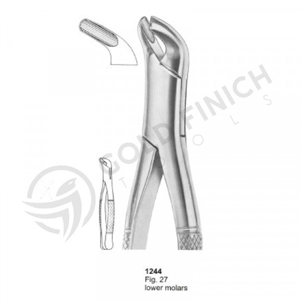 Extracting Forceps