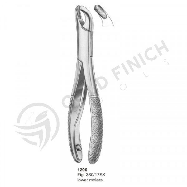 Extracting Forceps