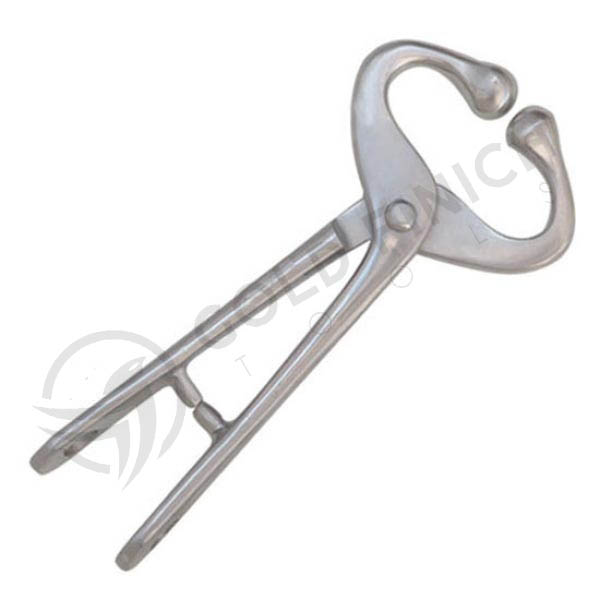 BULL HOLDER